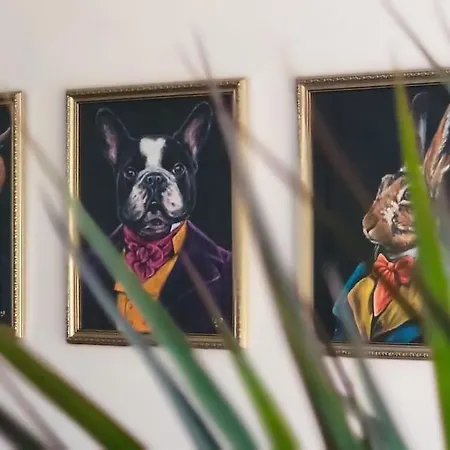 Big 7xguest House 3xvan Locked Carport Garden & Bradford *