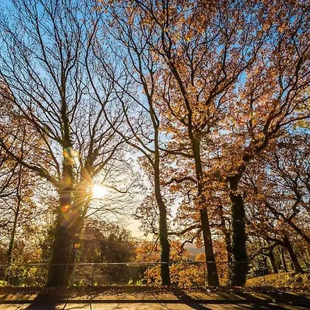 Holiday home Big 7xguest House 3xvan Locked Carport Garden & Bradford *